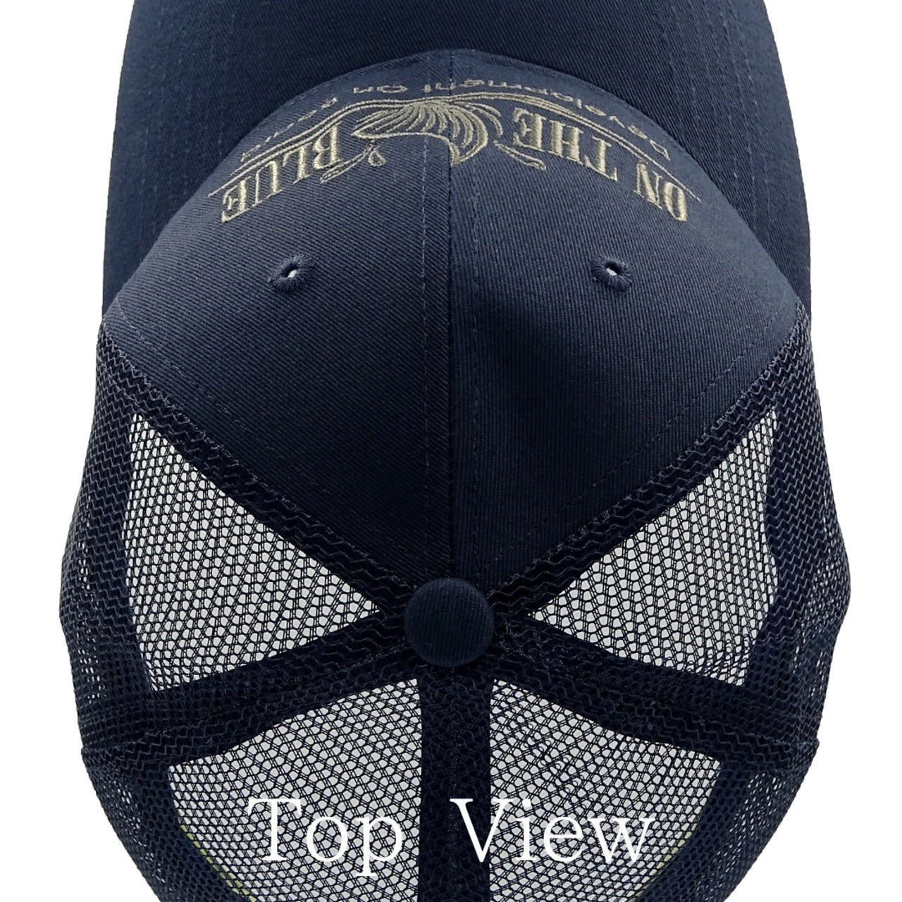 TAIL FIN SIDEWAYS /mesh cap