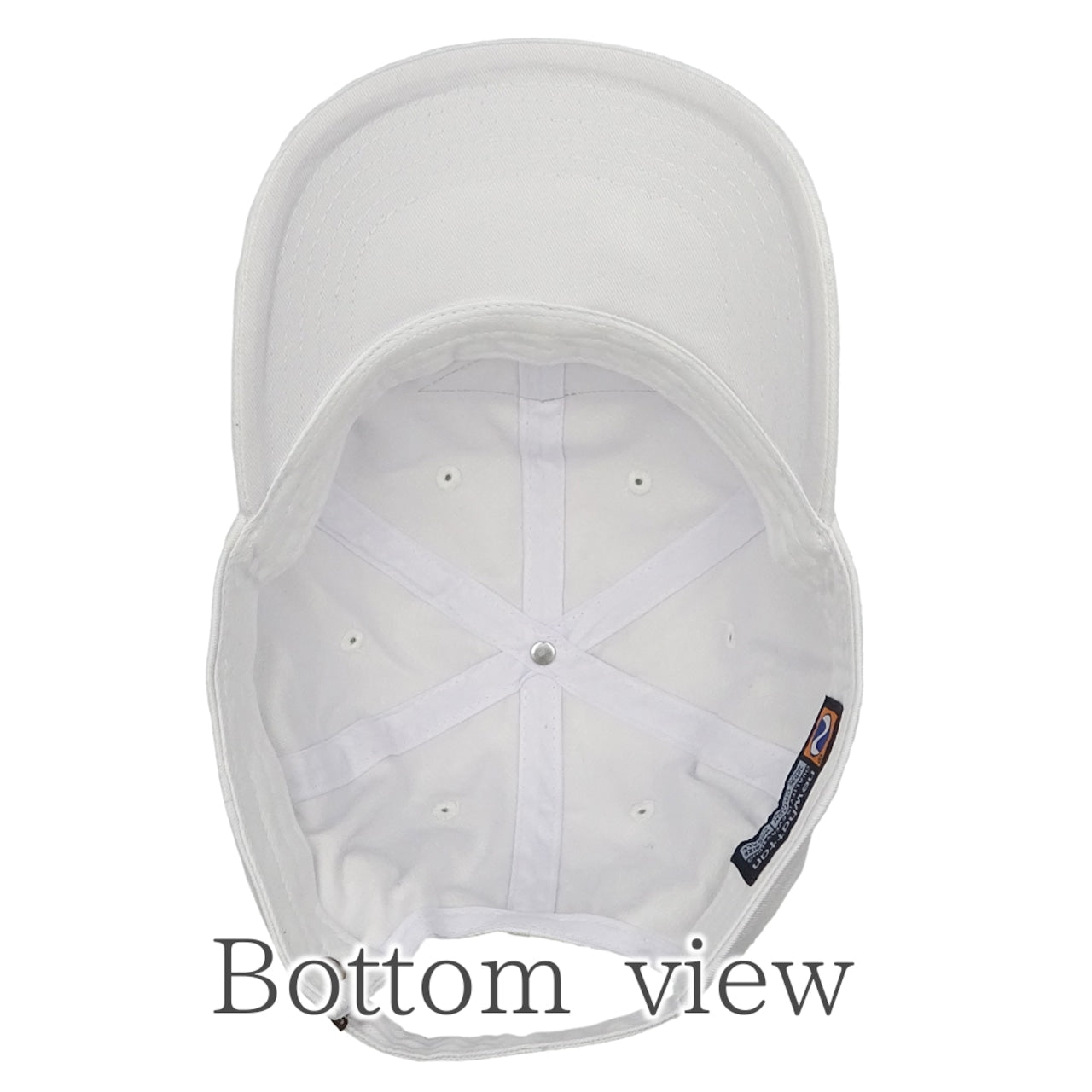 FISH HARD cap